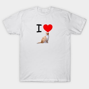 I HEART CREAMSICLE TABBY CATS T-Shirt